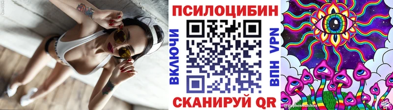 Галлюциногенные грибы Psilocybe  Бежецк 